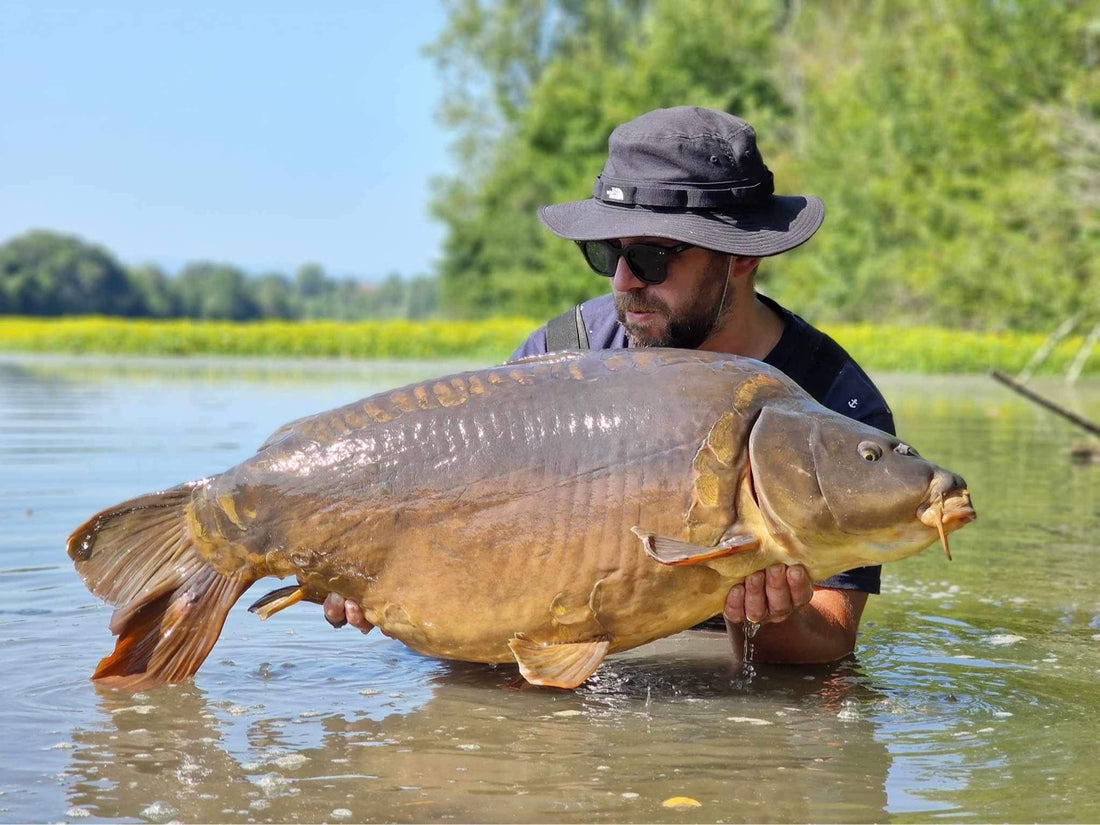 Jeremy PLANA ET BARTHOLOMÉ se régalent en fleuve !