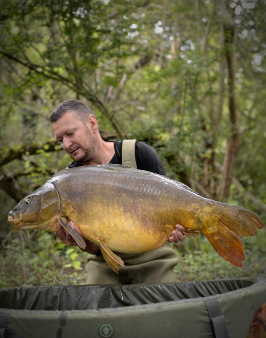 Gros poisson à la PFN !